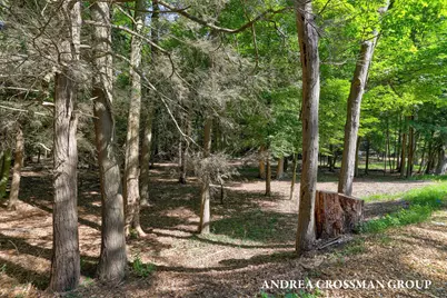 110 Park Street, Saugatuck, MI 49453 - Photo 10