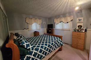 309 Vine St, Paris, MI 49338 - Photo 8