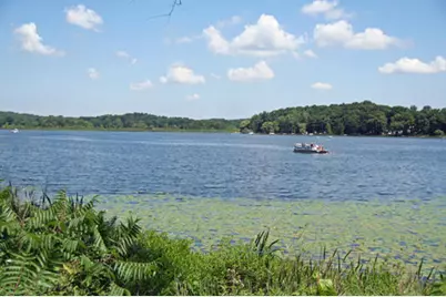 6250 W Guernsey Lake Road, Delton, MI 49046 - Photo 22