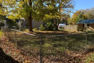 303 W Jackson St, Bellevue, MI 49021 - Photo 20