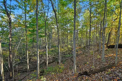 6645 S Pipestone Road #VL, Eau Claire, MI 49111 - Photo 10