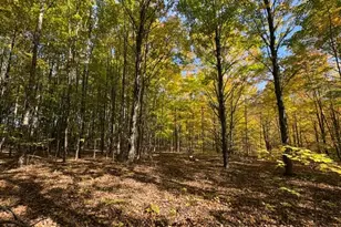 9500 Taylor Rd, Bear Lake, MI 49614 - Photo 68