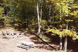 9500 Taylor Rd, Bear Lake, MI 49614 - Photo 60