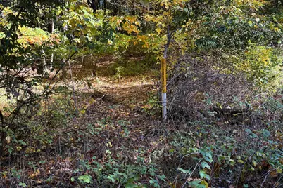 7.26 Acres Greyhawke Ridge, Niles, MI 49120 - Photo 6