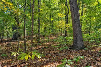 7.26 Acres Greyhawke Ridge, Niles, MI 49120 - Photo 46