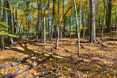 7.26 Acres Greyhawke Ridge, Niles, MI 49120 - Photo 62