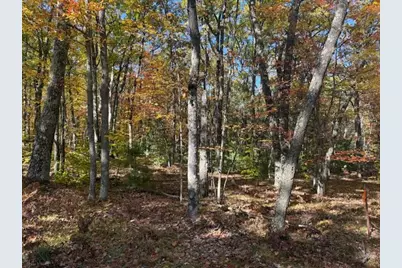 8301 E Deerfield Circle E, Reed City, MI 49677 - Photo 28