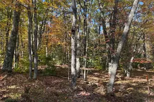 8301 E Deerfield Circle E, Reed City, MI 49677 - Photo 28