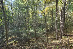 569 W Shawnee Rd, Baroda, MI 49101 - Photo 38