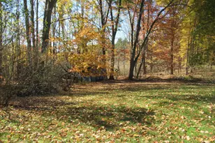 10022 S Brown Rd, Fenwick, MI 48834 - Photo 14