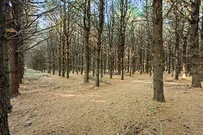 45924 County Road 665 3 Acres, Paw Paw, MI 49079 - Photo 26