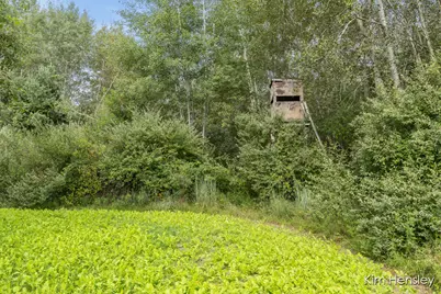 Vl W 112th Street, Twin Lake, MI 49457 - Photo 28