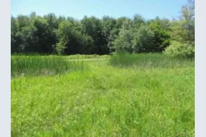 Palm Drive, Spring Lake, MI 49456 - Photo 2