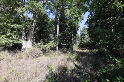 Vl Summit Rd, Leonidas, MI 49066 - Photo 12