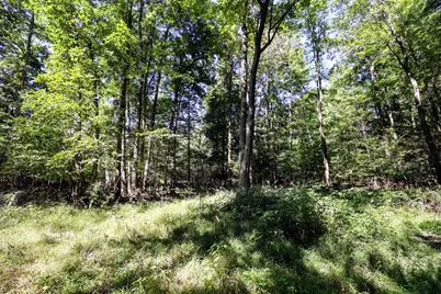 Vl Summit Rd, Leonidas, MI 49066 - Photo 32