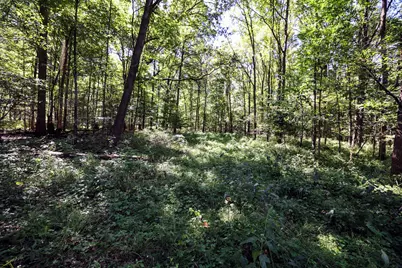 Vl Summit Rd, Leonidas, MI 49066 - Photo 28
