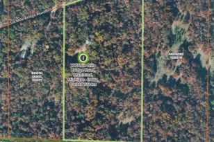 7275 6 Mile Bridge Rd, Manistee, MI 49660 - Photo 4