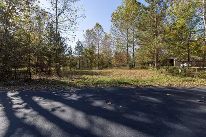 29265 Misty Pines Street, Dowagiac, MI 49047 - Photo 4