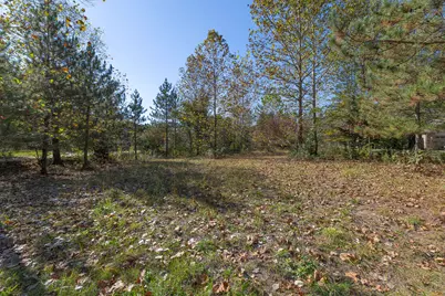 29265 Misty Pines Street, Dowagiac, MI 49047 - Photo 1
