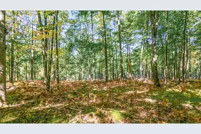 6231 Fox Run Circle, Stanwood, MI 49346 - Photo 2