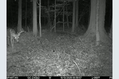 10650 10 Mile NE, Rockford, MI 49341 - Photo 22