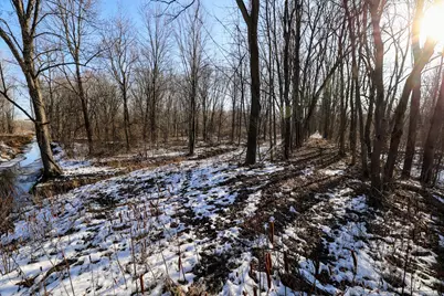 Vl Flanders Road, Charlotte, MI 48813 - Photo 8