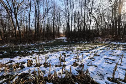 Vl Flanders Road, Charlotte, MI 48813 - Photo 30