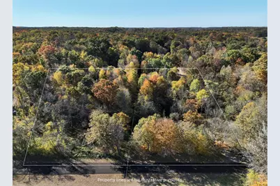 V/L Biggs Avenue NE, Lowell, MI 49331 - Photo 2