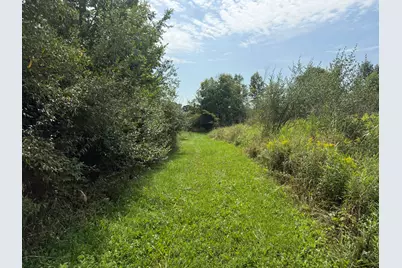 6928 Springville Highway, Onsted, MI 49265 - Photo 8