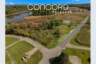 Vl Sears Road, Concord, MI 49237 - Photo 4