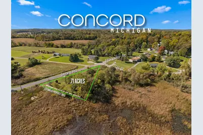 Vl Sears Road, Concord, MI 49237 - Photo 2