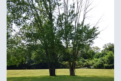 0 N Center Street, Hartford, MI 49057 - Photo 4