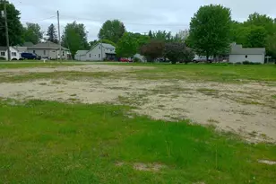 305 E Wright Ave, Shepherd, MI 48883 - Photo 1