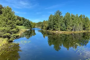9220 Ranger Dr, Canadian Lakes, MI 49346 - Photo 1