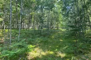 Nn W Erdman Rd, Lake City, MI 49651 - Photo 1