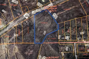 Vl Spring Arbor Rd, Jackson, MI 49201 - Photo 1