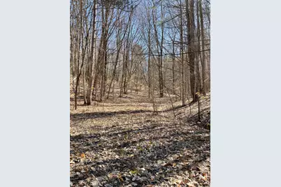 Coates Hwy, Manistee, MI 49660 - Photo 1