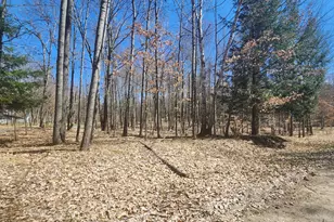 9791 Fawn Ridge Rd, Canadian Lakes, MI 49346 - Photo 1