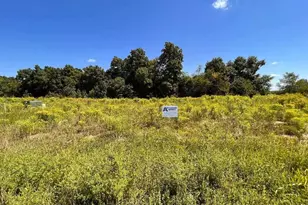 12053 Alden Ct NE, Lowell, MI 49331 - Photo 1