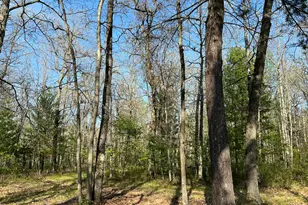 11304 N Irons Road Rd, Irons, MI 49644 - Photo 1