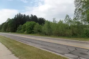 S Greenville West Dr, Greenville, MI 48838 - Photo 1