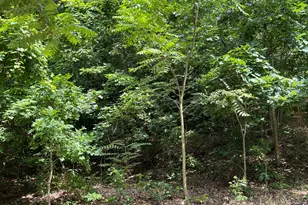 9419 Kramer Dr, Bridgman, MI 49106 - Photo 1