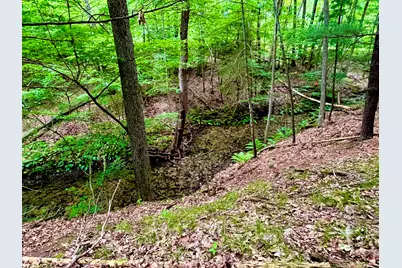 8420 Bailey Drive SE #1, Ada, MI 49301 - Photo 1