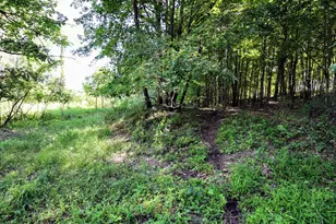 Vl Round Lake Rd, Vermontville, MI 49096 - Photo 1