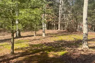 4007 Riverview Dr, Hesperia, MI 49421 - Photo 1