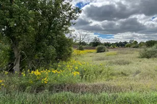 13651 Shannon Dr, Cement City, MI 49233 - Photo 1