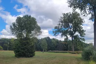 V/L Round Lake Hwy, Manitou Beach, MI 49253 - Photo 1