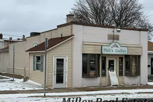 139 E Court St, Hastings, MI 49058 - Photo 1