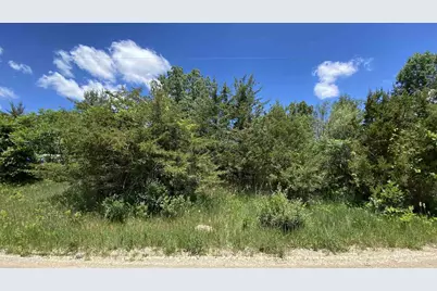 11770 Penlawn Drive, Jerome, MI 49249 - Photo 1