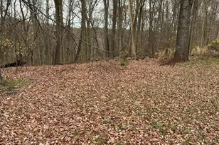 V/L Marshall St, Allegan, MI 49010 - Photo 1